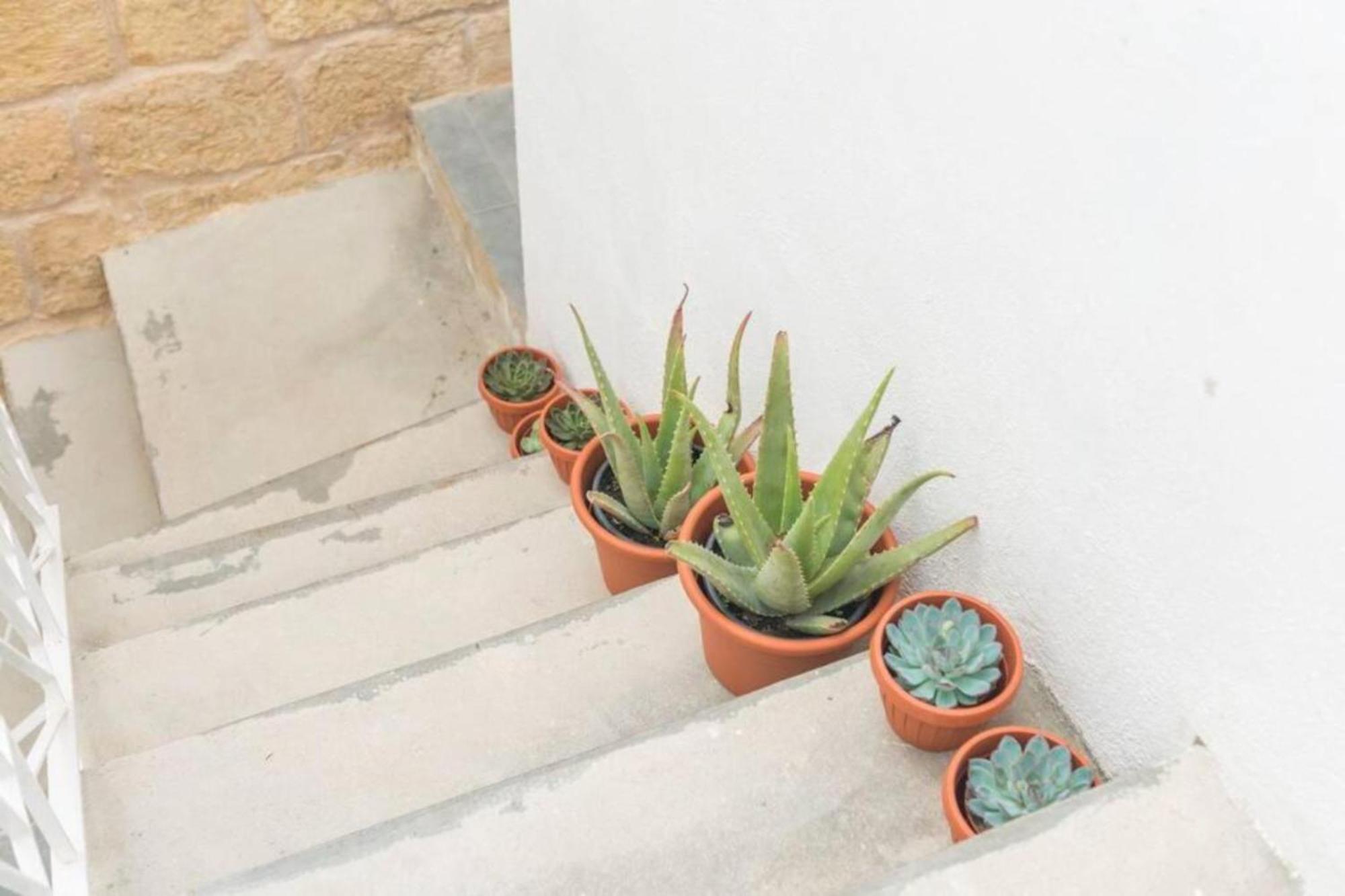 Authentic Gf Apartment With Terrace At The 3 Cities Marina Cospicua Exterior foto